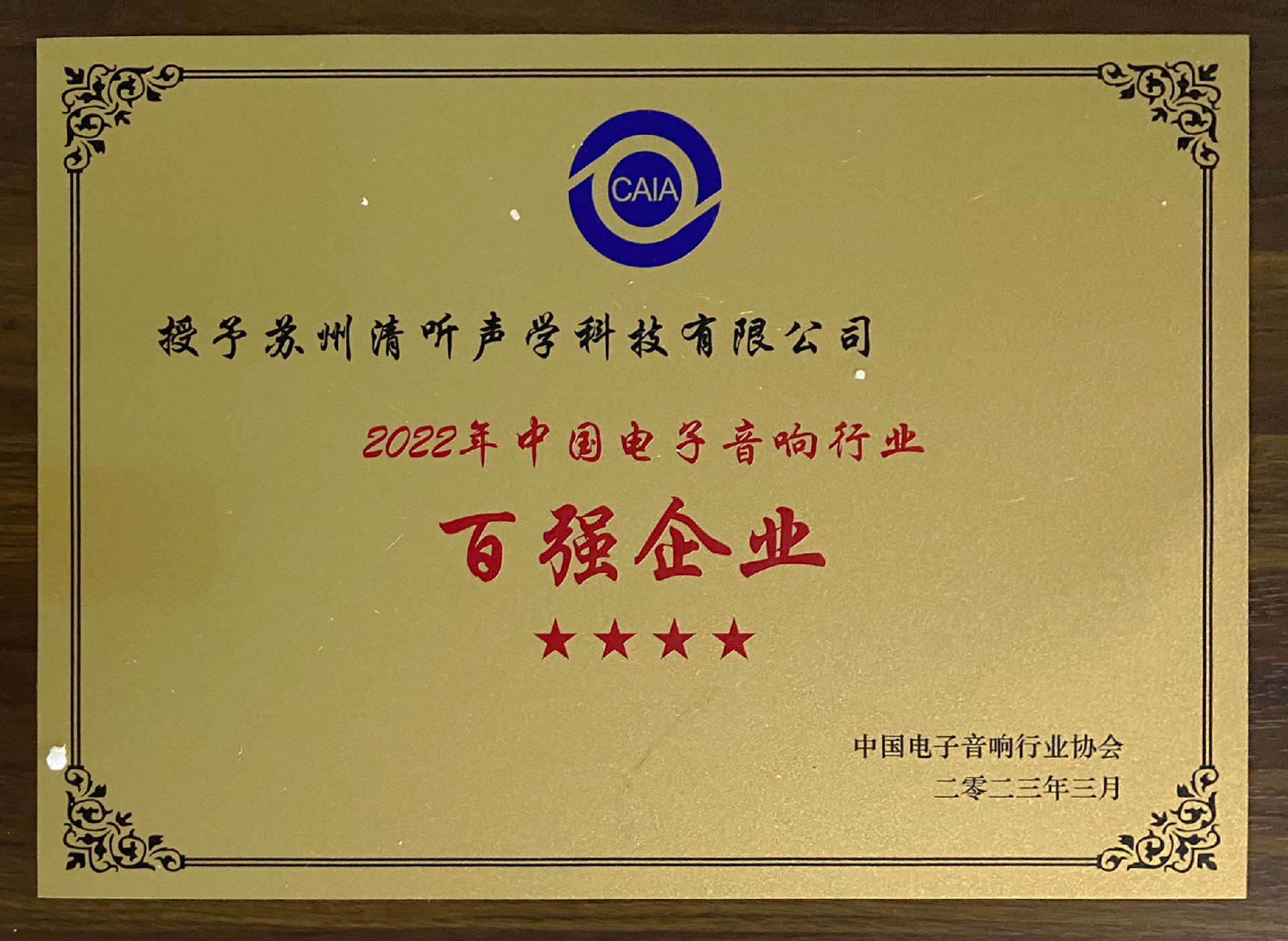 2022年中国电子音响行业百强企业.jpg